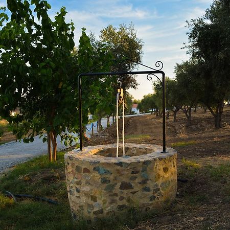Melrinitas Turismo Rural Hotel Серпа Екстериор снимка