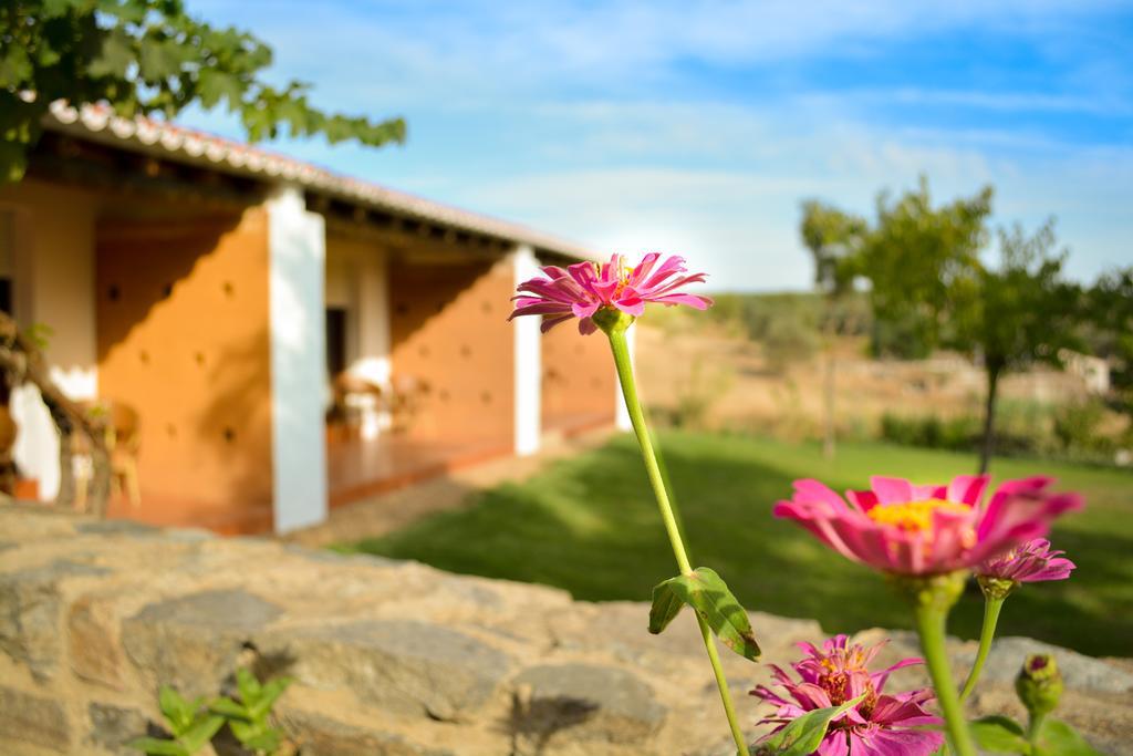 Melrinitas Turismo Rural Hotel Серпа Екстериор снимка
